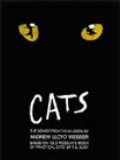 CATS: THE SONGS FROM THE MUSICAL